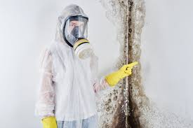 Best Mold Remediation for Rental Properties  in Baywood, NY